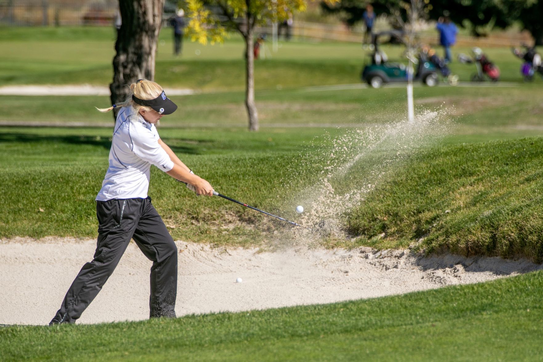 High School State Golf